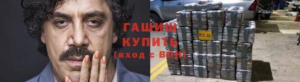 гашик Алексин