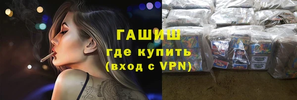 гашик Алексин