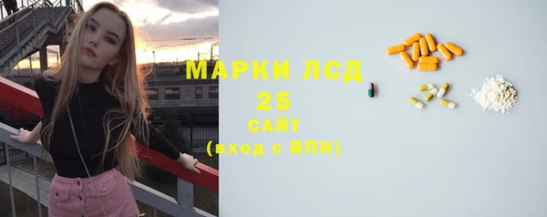 гашик Алексин