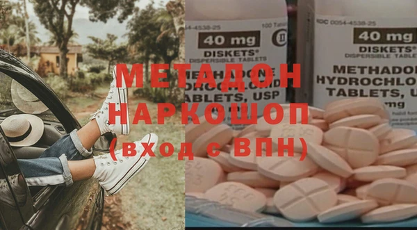 гашик Алексин