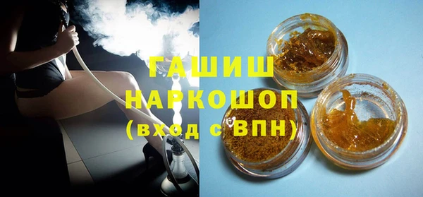 гашик Алексин