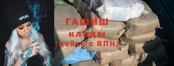 гашик Алексин