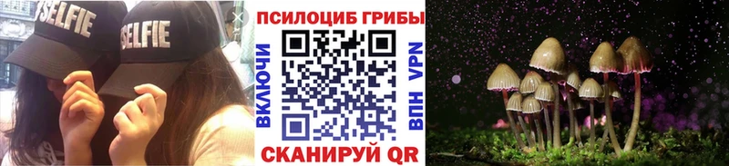 Галлюциногенные грибы MAGIC MUSHROOMS  Оленегорск 